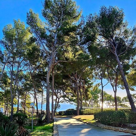 Superbe Appartement Dans Cadre D'Exception - Piscine, Plage Et Tennis Prive Bandol Ngoại thất bức ảnh