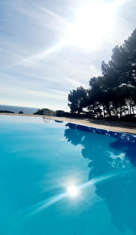 Superbe Appartement Dans Cadre D'Exception - Piscine, Plage Et Tennis Prive Bandol Ngoại thất bức ảnh